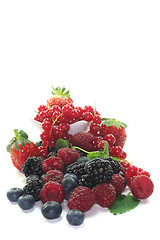 Image showing different berries