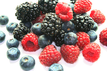 Image showing different berries