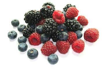 Image showing Berries