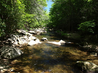 Image showing Mountain Creek