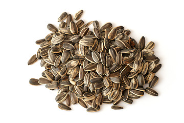 Image showing Sunflower seed