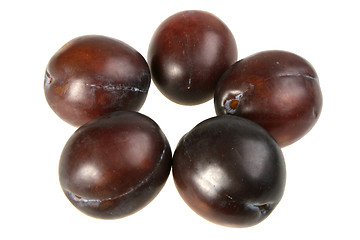 Image showing Five of dark-purple plums.