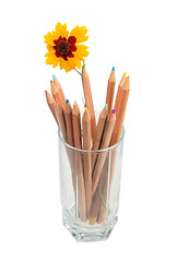 Image showing Set of multicolored wood pencils and one yellow flower in glass.