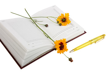 Image showing Empty open diary, yellow flowers and yellow ball point pen.