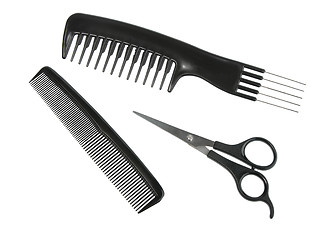 Image showing Two black professional combs and scissors.