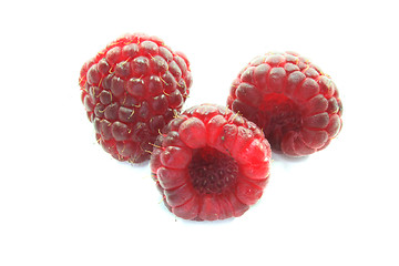 Image showing fresh raspberries