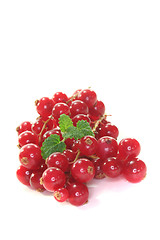 Image showing fresh currant