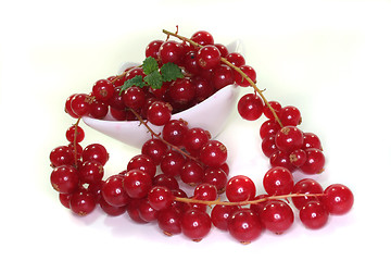 Image showing currant