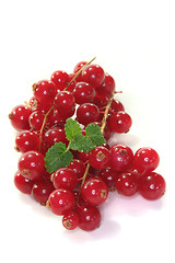 Image showing currant