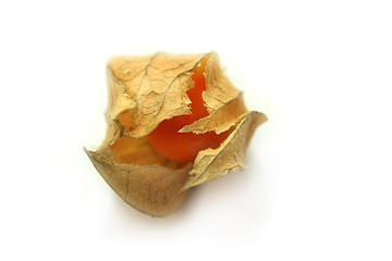 Image showing Cape gooseberry