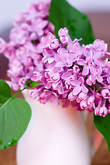 Image showing lilac blooms 