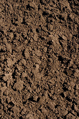 Image showing soil 