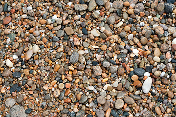 Image showing Beach Pebbles
