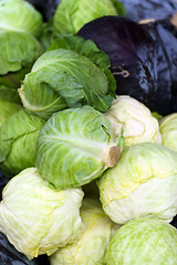 Image showing Fresh Cabbage
