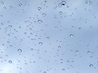 Image showing Rain droplets