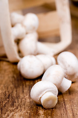 Image showing fresh champignon