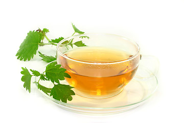 Image showing Nettle tea