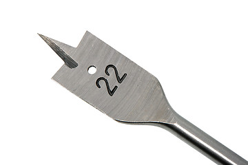 Image showing Single metallic auger nib for wood