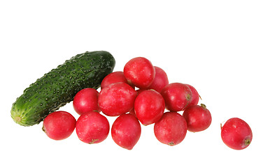 Image showing One green cucumber and group of red garden radish.