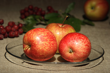 Image showing Apples on of-focus textile background.
