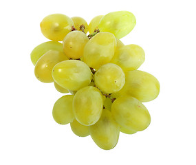 Image showing Single bunch of white grape