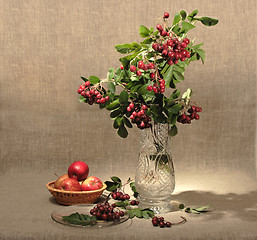 Image showing Bouquet of ashberry in glass vase and group of a red apples.