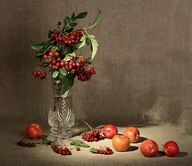 Image showing Bouquet of ashberry in glass vase and group of a red apples.