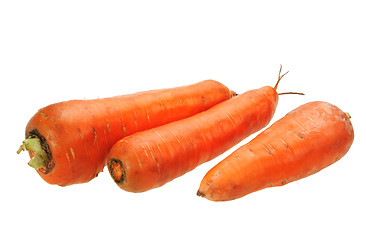 Image showing Three orange carrots.