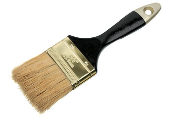 Image showing Single brush with black wood handle