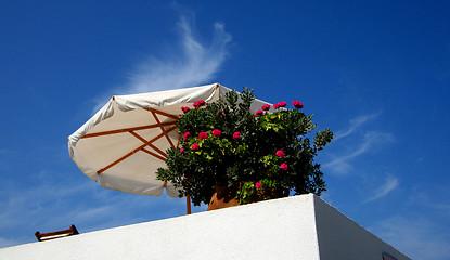 Image showing Greek Summer