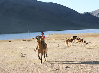 Image showing Mongolia