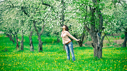 Image showing Woman smelling apple flowers