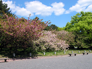 Image showing Spring Park