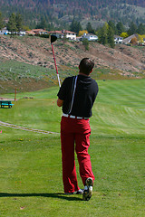 Image showing Young golfer