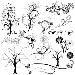 Image showing Set graphic floral element