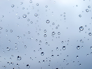 Image showing Rain droplets