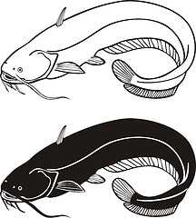 Image showing Catfish
