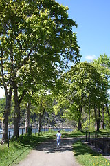 Image showing Boy in the park