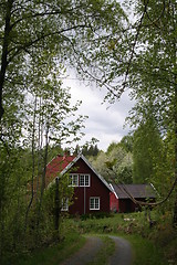 Image showing House in the wood