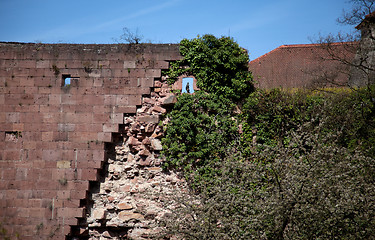 Image showing Palace Ruins at Heidelberg
