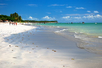 Image showing Sand of crystalline green sea in Alagoas, Brazil