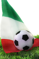 Image showing Soccer World Cup 2010