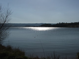 Image showing Sparkling Lake