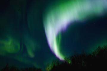 Image showing Multicolor Aurora