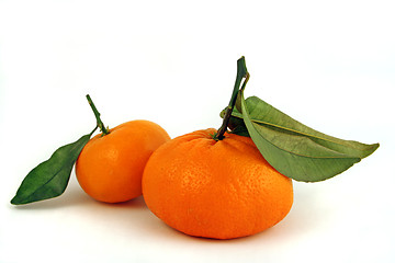 Image showing 2 oranges with stems