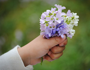 Image showing holding bouquet