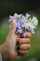 Image showing holding flowers