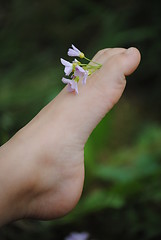 Image showing kids foot