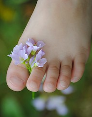 Image showing childs toes