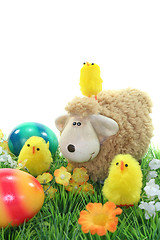 Image showing Sheep with eggs and chicks in a meadow